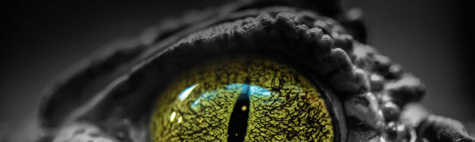 Croc Eye