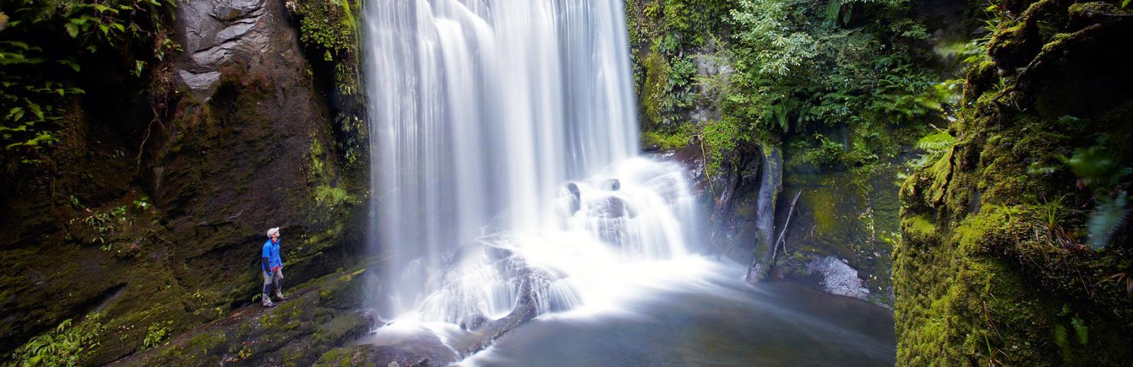 Te Urewera