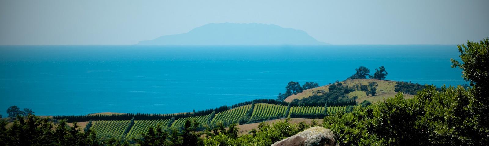 Wine and Food Touring New Zealand