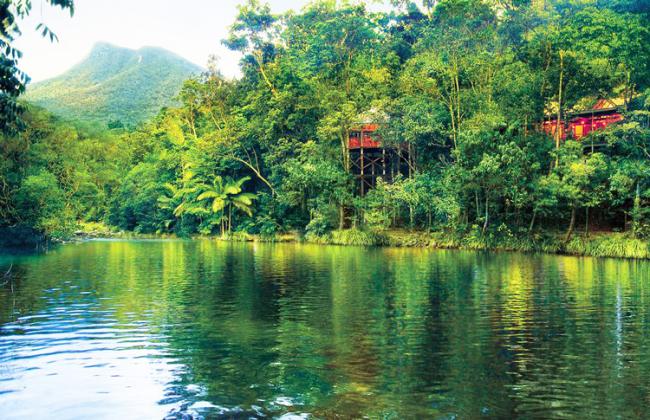 Silky Oaks Lodge - Mossman