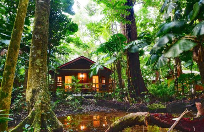 Cape Trib Beach House