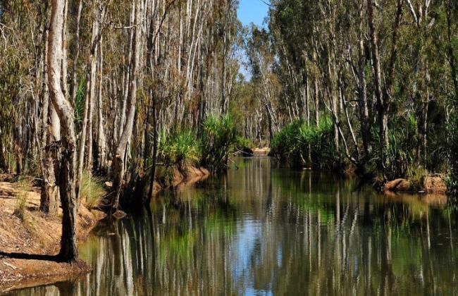 Drysdale River Station