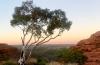 Uluru Holiday 2