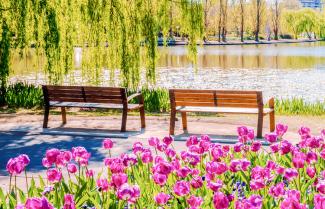 Canberra Park