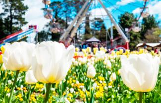 Floriade