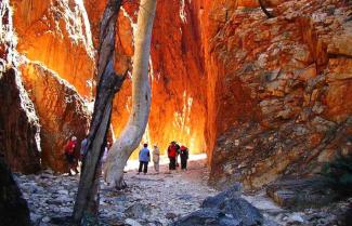 Alice Spring Standley Chasm
