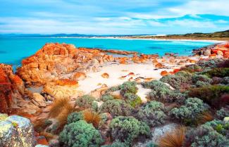 The Bay Of Fire 