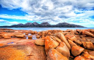 Tasmanian Bay