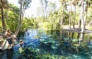 Mataranka Springs