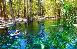 Mataranka Thermal Springs