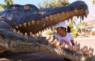 Normington Croc