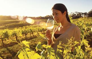 Barossa Wine Tasting