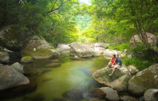 Mossman Gorge Daintree