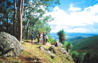 Gold Coast Hinterland 