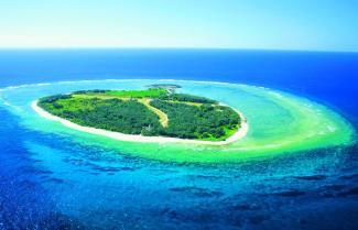 lady Elliot Island