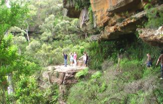 Blue Mountains