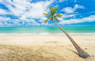 Port Douglas Beach