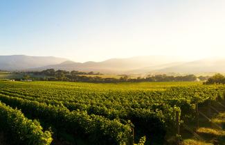 Yarra Valley