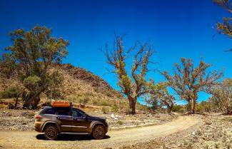 Brachina Gorge