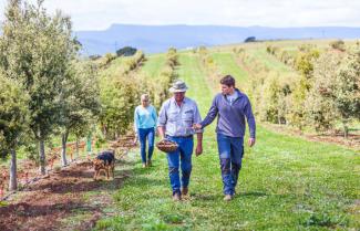 Tasmanian Truffles