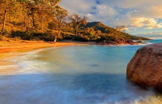 Freycinet