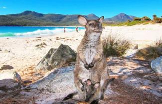 beautiful Tasmania 