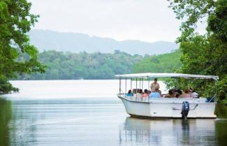 Daintree River 