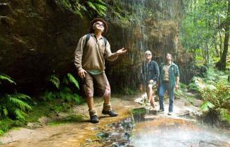 Hiking Blue Mountains