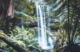 Mount Field National Park