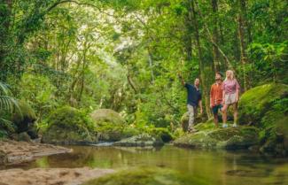Cape Tribulation