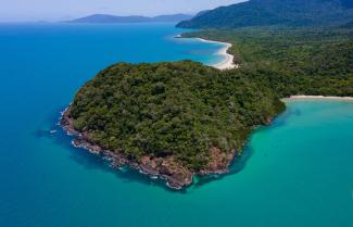 Cape Tribulation