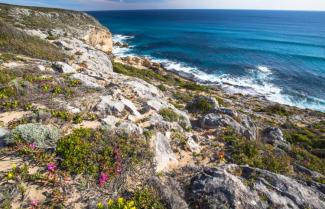 Kangaroo Island
