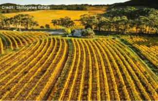 Clare Valley