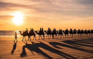 Sunset Camel Ride Broome