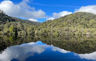 Gordon River Cruise