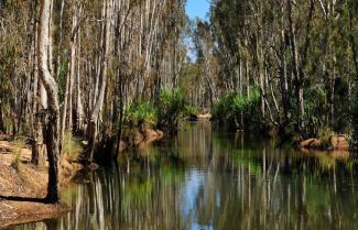 Drysdale River Station