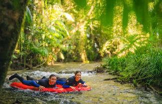 Daintree Rainforest River Drift