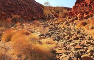 Burrup Peninsula