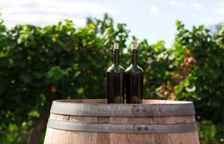 Canberra wine Tour