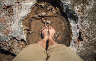 Dinosaur Footprints