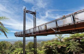 Forest Sky Pier Coffs Harbour