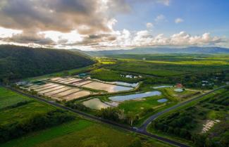 Hook-a_Barra Fish Farm Tour