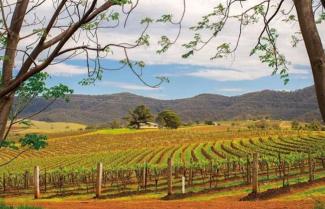 Hunter Valley