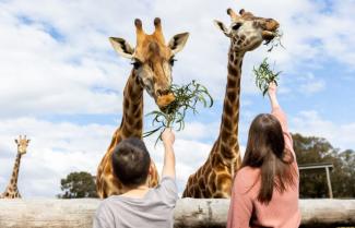 Hunter Valley Wildlife Park