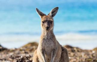 Credit: Tourism Australia