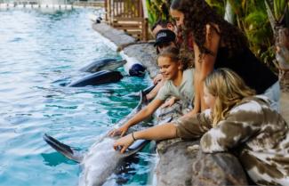 Coffs Coast Wildlife Centre