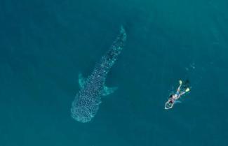 Ningaloo Reef