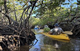 Noosa Kayaking