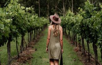 Gold Coast Winery Tour