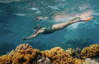 Reef